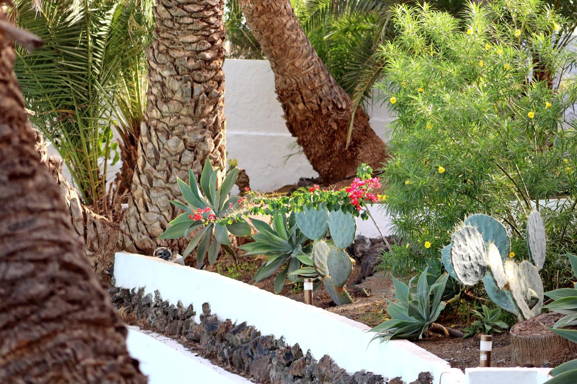 Cortijo San Ignacio El Cortijo (Gran Canaria) Exterior foto