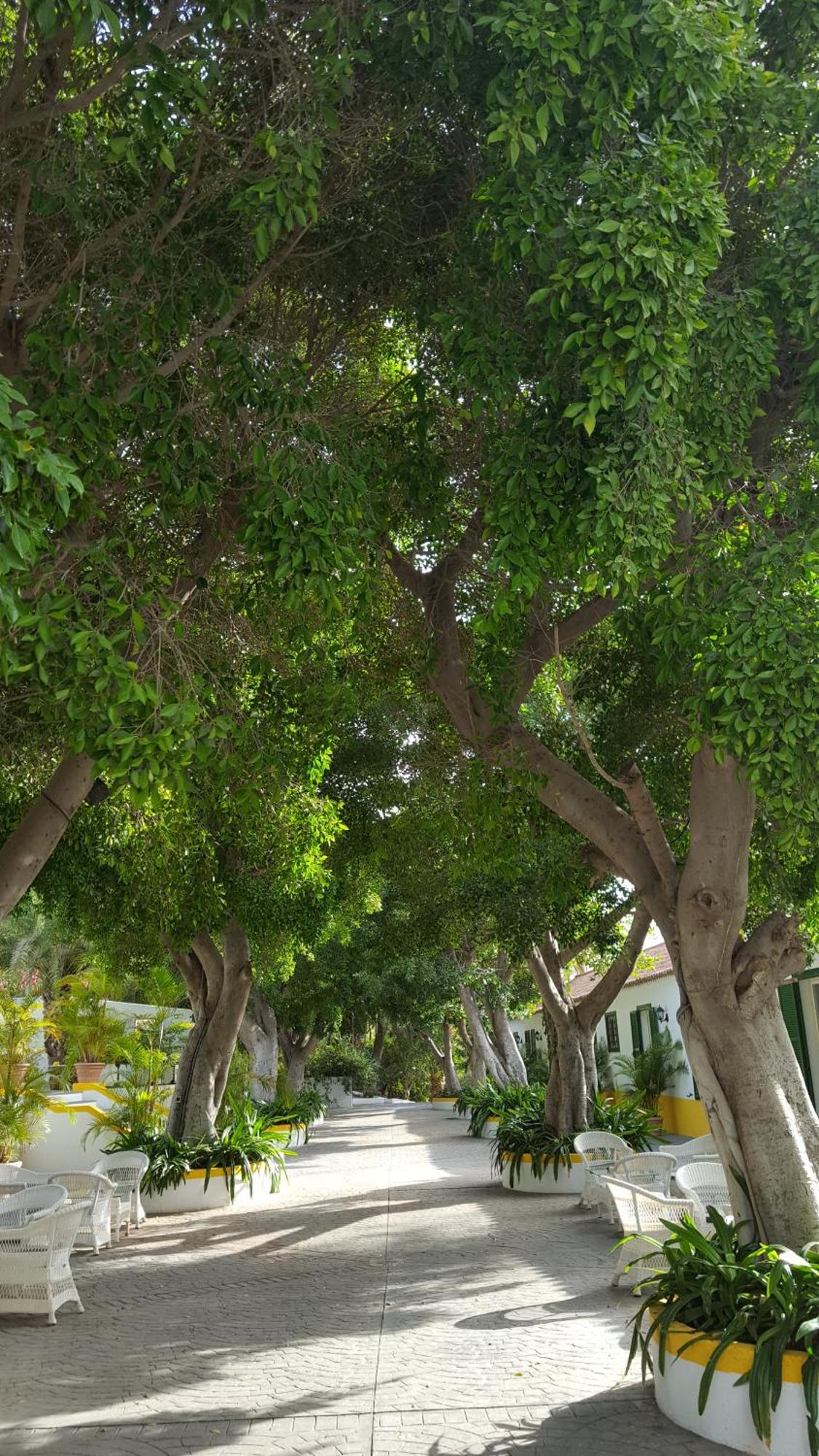 Cortijo San Ignacio El Cortijo (Gran Canaria) Exterior foto